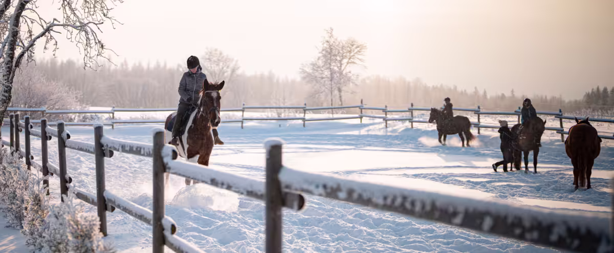 Laste Talvine Ratsalager