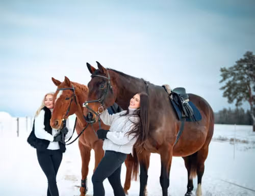 Ratsutamine, Ratsalaager, Ratsamatkad