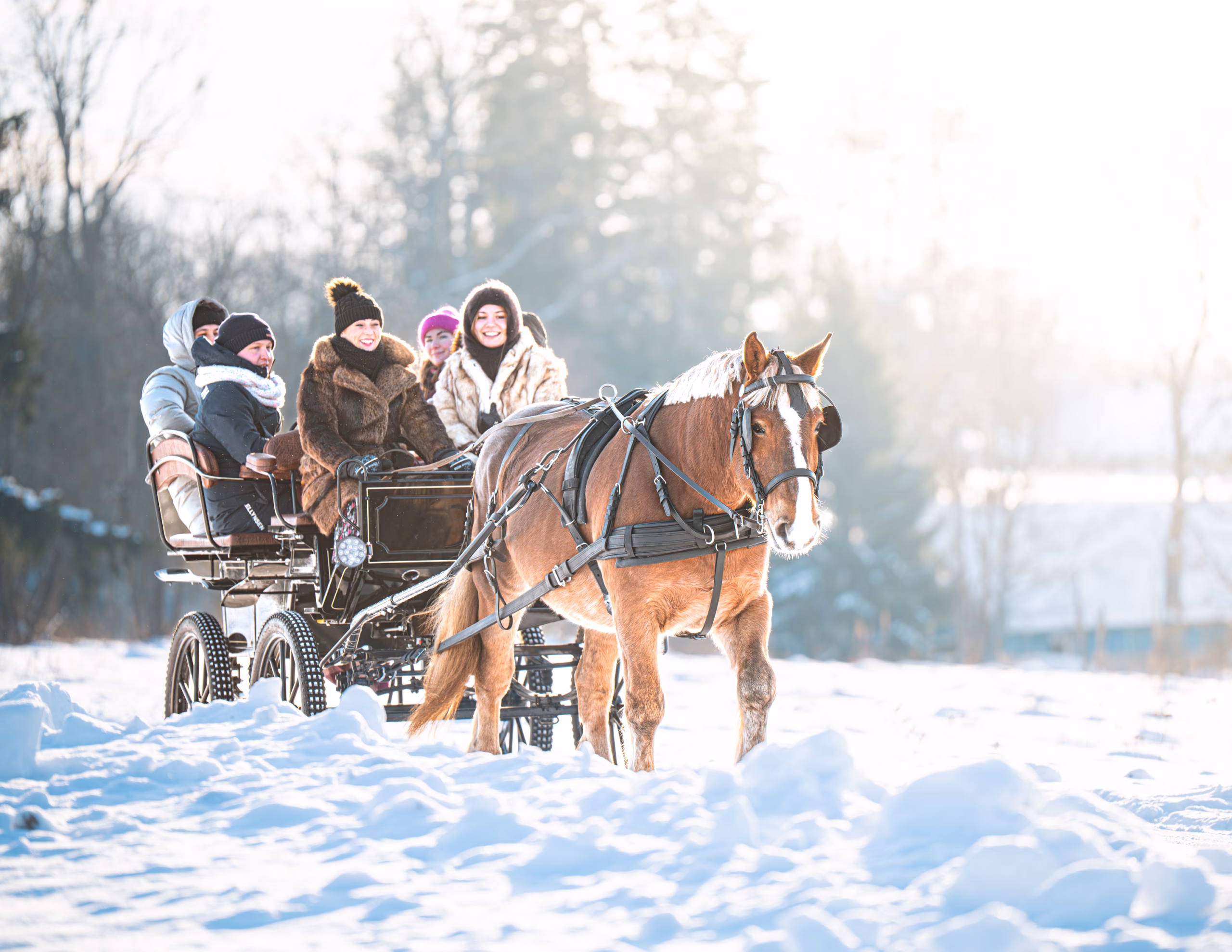 Vankrisõit hobusega