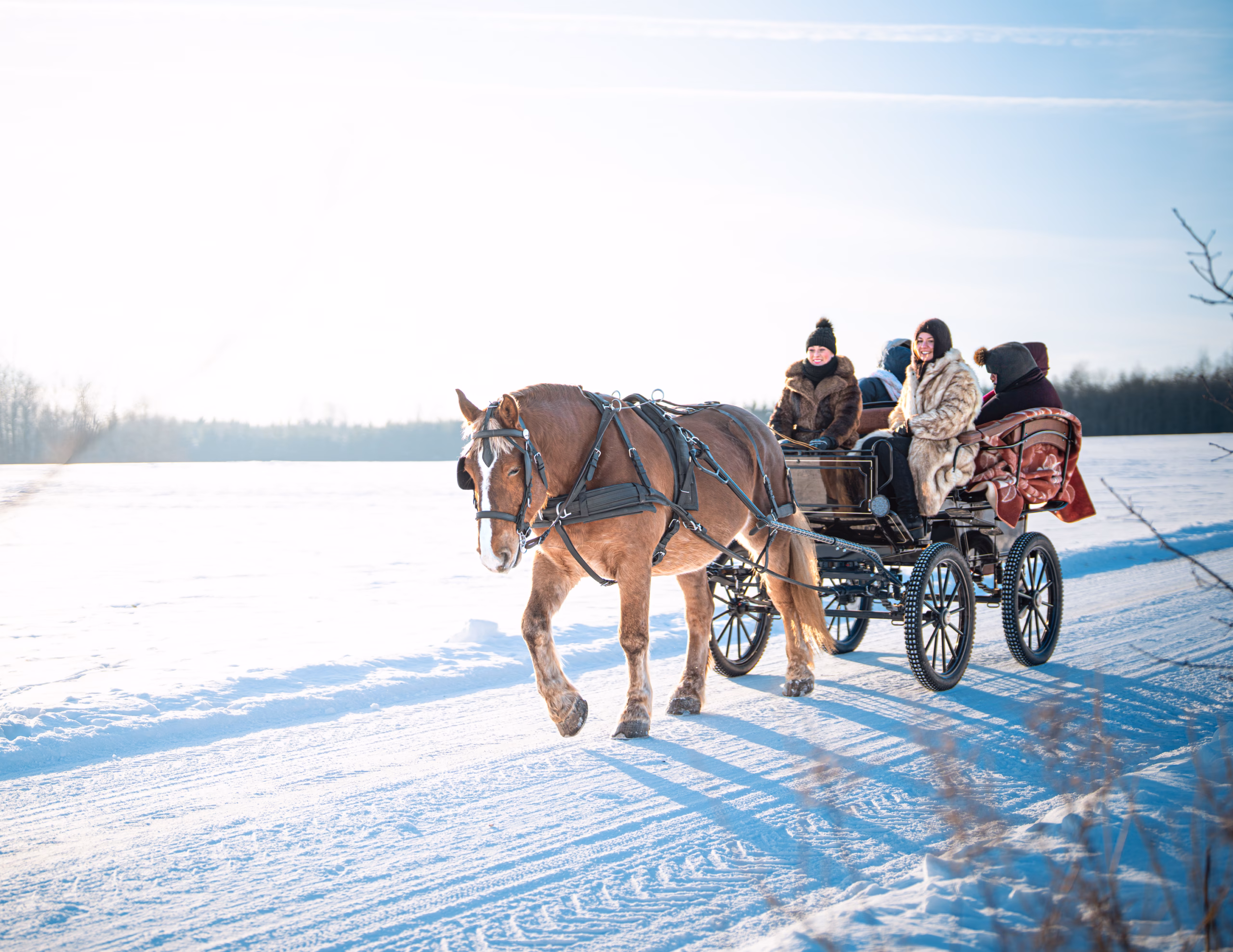 Vankrisõit hobusega
