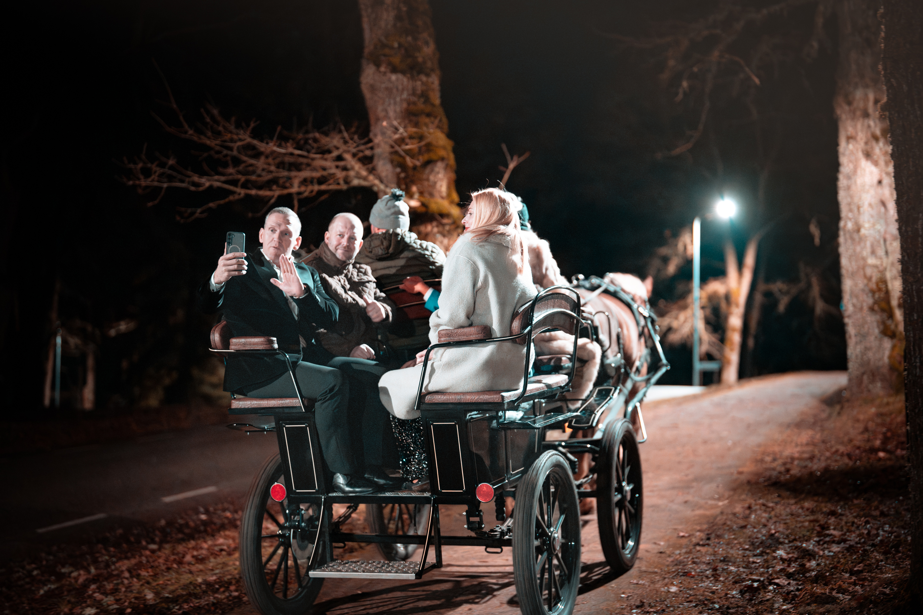 Vankrisõit hobusega