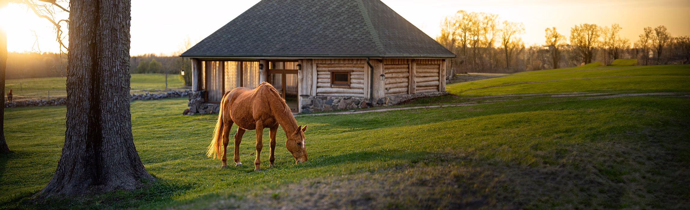 Majutus, puhkus, ööbimine