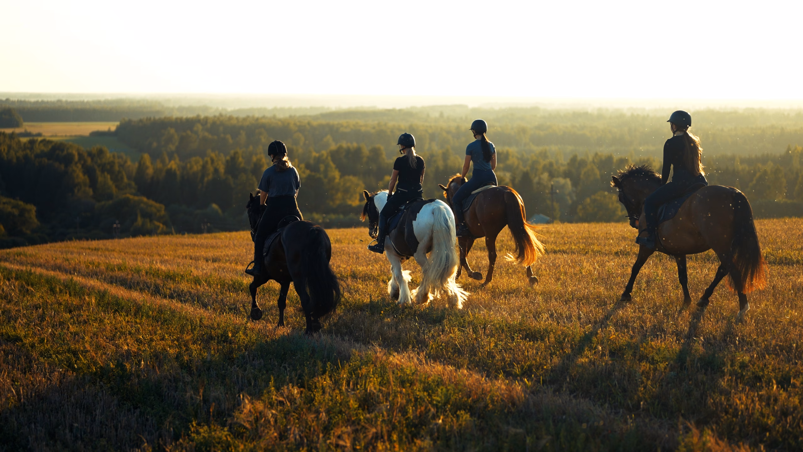 Ratsamatk, Ratsutamine