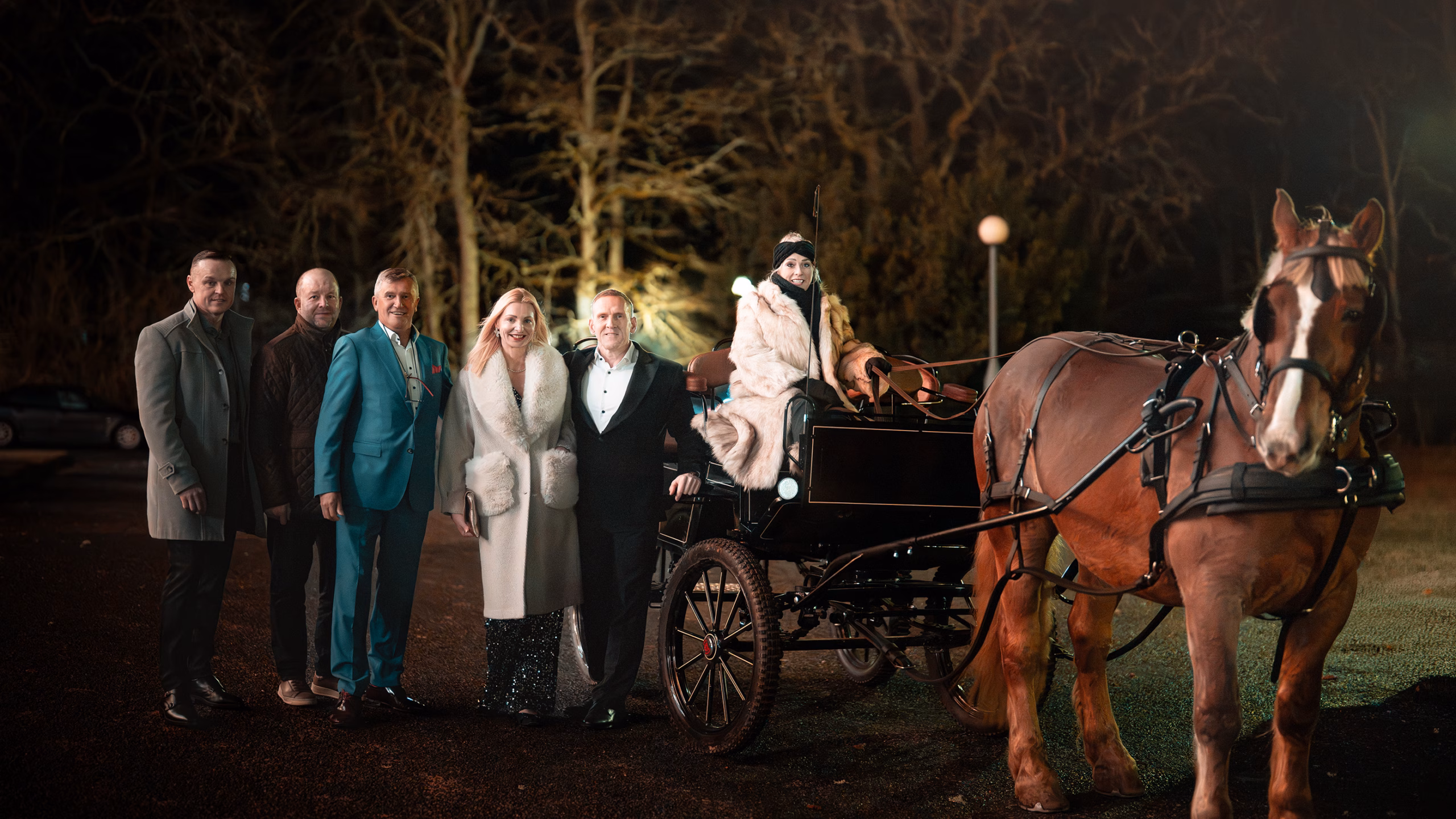 Vankrisõit hobusega